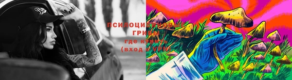 гашик Алексеевка