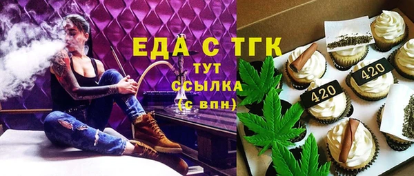 хмурый Алексин