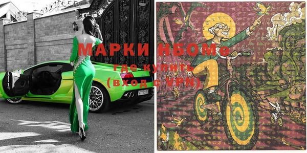 хмурый Алексин