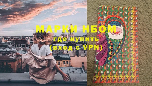 хмурый Алексин