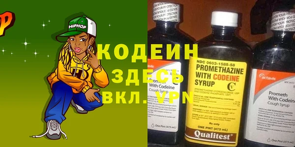 хмурый Алексин