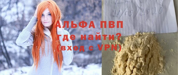 хмурый Алексин