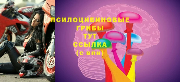 гашик Алексеевка