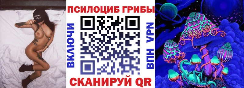 Псилоцибиновые грибы Psilocybine cubensis  Куртамыш 